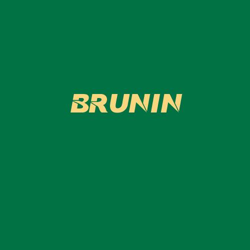 Logo da BRUNIN